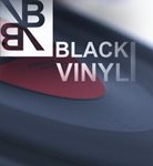 Новое поступление! Мужские куртки, парки и ветровки BLACK VINYL.